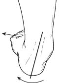 Foot mechanics